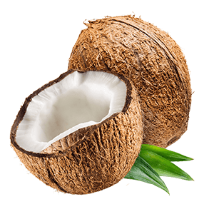 Coconut